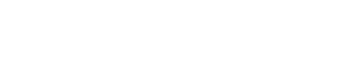 Snyffo, Pioneers in Marketing Automation